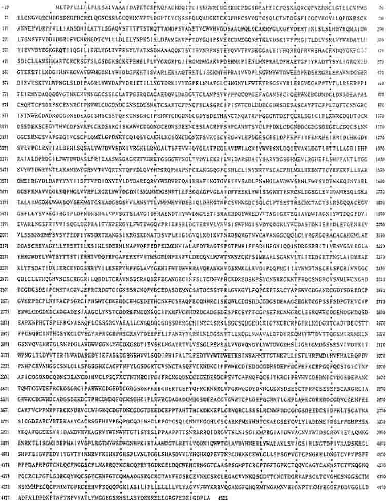 LRP的氨基酸序列