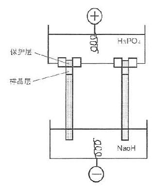 IEF装置与标本溶液的装置(园盘电泳)