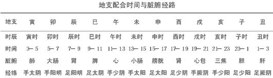 地支配合时间与脏腑经路