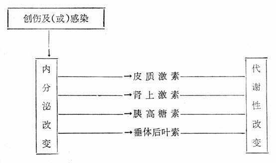内分泌-代谢性改变的关系