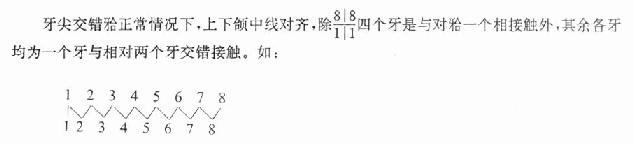 上牙部分覆盖在牙的唇(颊)面。