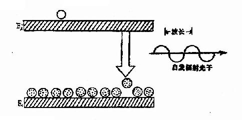 自发辐射(释放能量)