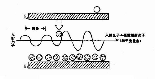 受激辐射(释放能量)