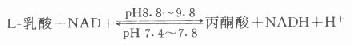 乳酸脱氢酶(LD)酶催化反应: