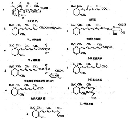 维生素A衍生物的分子式