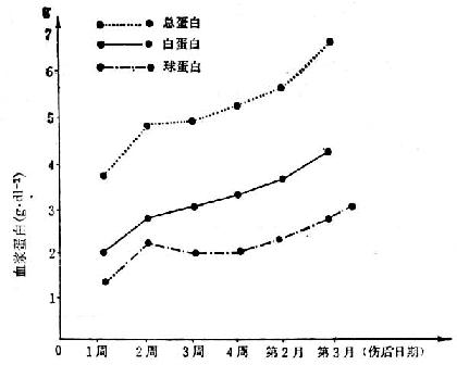 15例(烧伤面积70~90/Ⅲ°40~90%)烧伤后血浆蛋白的变化