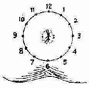 肛门检查后时钟定位法(截石位)