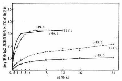 FITC与家兔IgG球蛋白在25℃和2℃时结合的动力学(Kawamura 1964)