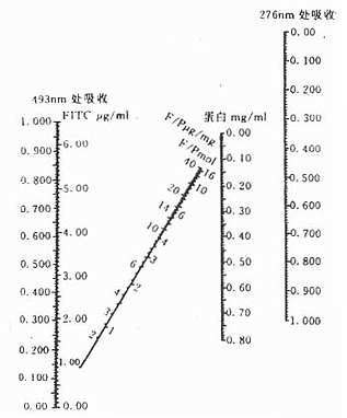 FITC标记物中球蛋白、荧光色素和E/P比值计算图