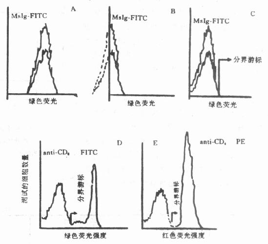 阴阳性细胞分界游标的设置