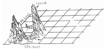异常B细胞双染色的假三维图