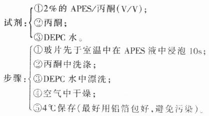 APES(氨丙基三乙氧基硅浣)法