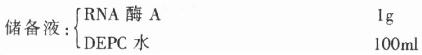 RNA酶溶液
