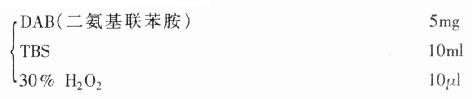DAB-H2O显色液