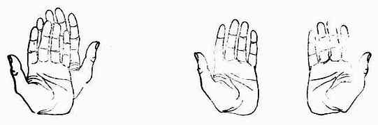 左:左、右手不能重合 左手的镜象是右手