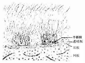 �������ͻ�Ĥ��΢�ṹģʽͼ 