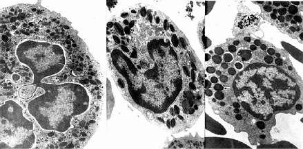 ���������羵�� 