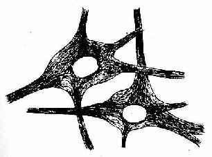 ��Ԫ��Ⱦɫ��ʾ��ԭ��ά 