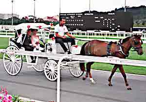 新人:新颖浪漫的马场婚礼