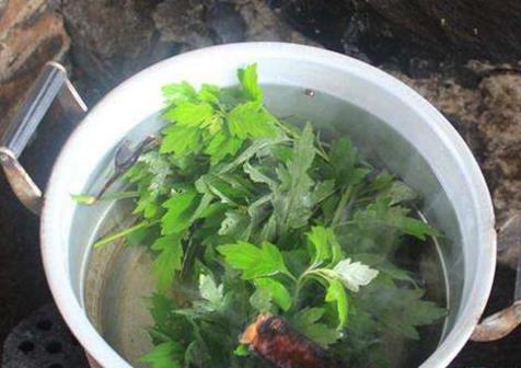 端午艾叶药膳方