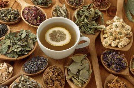 治肾脏疾病 中医祛风法体系