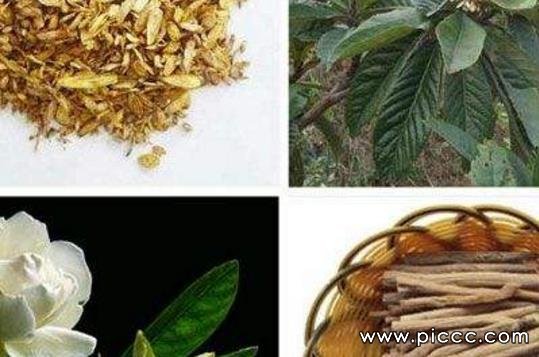 脑瘤 头晕头痛眼胀 方药杞菊地黄丸加减