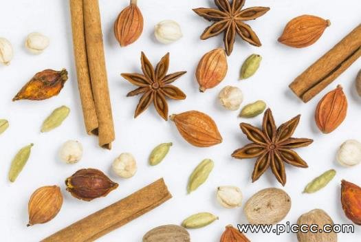 炎性假瘤 处方栀子清肝散合五苓散加减