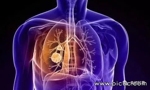 �����š����н��Ī�ֻš�20180629����֮·��Ƶ