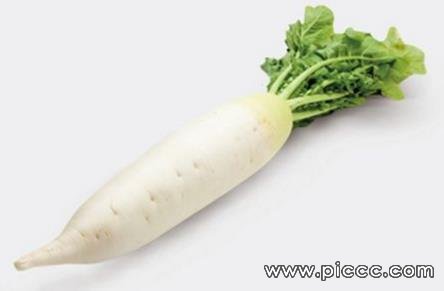 白萝卜的功效与作用