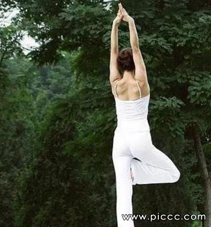 ��˵�𼦶������������ŵ�