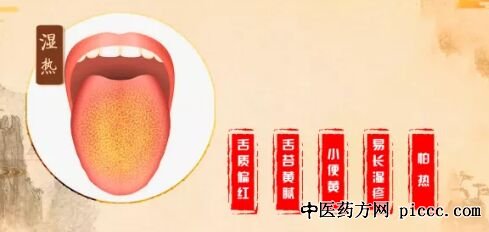 健康之路湿热的特色