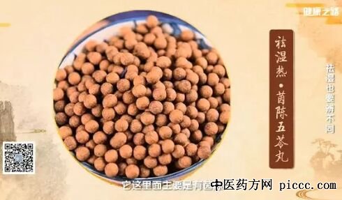 健康之路茵陈五苓丸