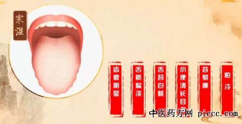 健康之路寒湿的特色