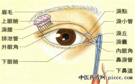 麦粒肿,针眼 中药方用麦粒肿方