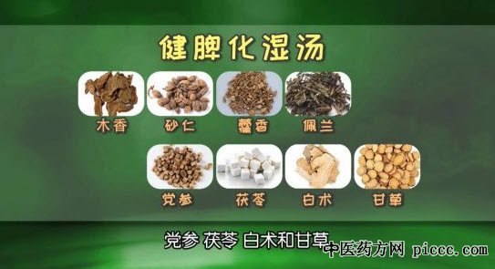 饮食养生汇视频20180728:芦殿荣,夏天祛湿攻略