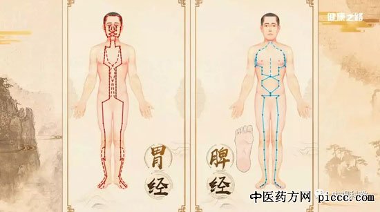 健康之路20180731:陈明,胃经火经,葛根芩连汤,疏通鼻塞,清胃散