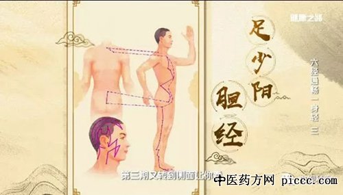 健康之路20180801:陈明,胆经,中医缓解偏头疼,散偏汤