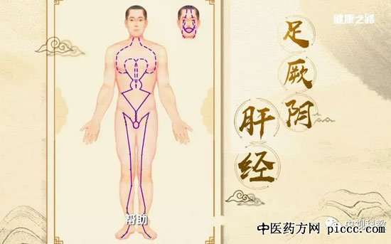 健康之路20180803:陈明,肝经,吴茱萸汤,暖肝煎,龙胆泻肝丸