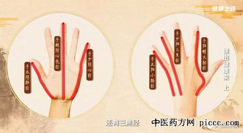 健康之路20180808:付国兵,搓出健康来,少府穴,劳宫穴,搓耳部穴位