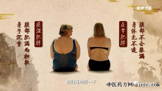 健康之路20180811:杨中,痰湿体质引起癌症,痰湿体质的调理方