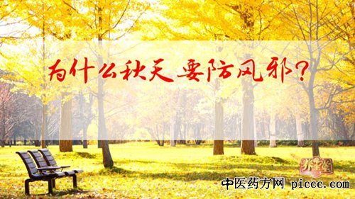 20180825:԰Т,а,ηļҪѨ,縮Ѩ,Ѩ