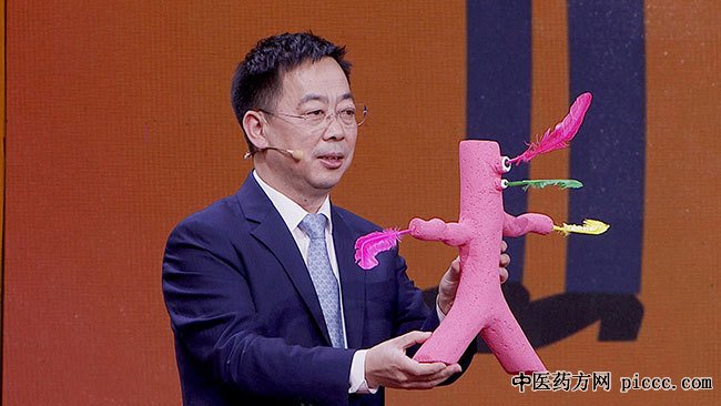 养生堂20181107:郑月宏,拯救生命的四根毛,脊柱侧弯