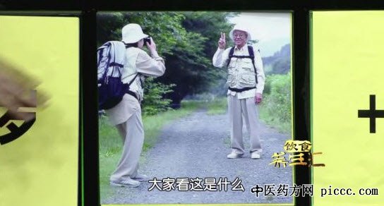 饮食养生汇20181106:汪正芳,长寿秘诀大揭秘,终日养生目的