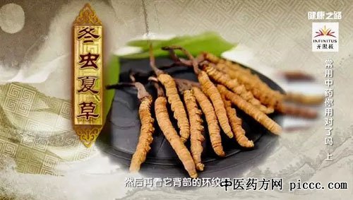 健康之路20181107:张媛,常用中药你用对了吗,冬虫夏草,川贝,菊花