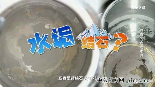 健康之路20181216:何丽,你真的会喝水,植酸,结石,草酸