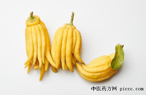 佛手药理作用 本草考证及历史沿革