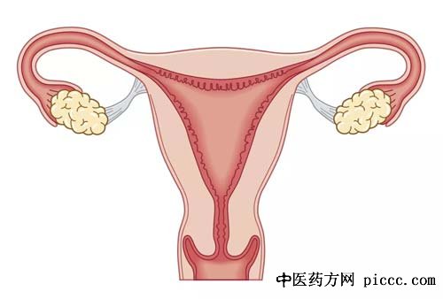 健康之路20181231:段华,子宫肌瘤的类型,哪种子宫肌瘤需求手术切除