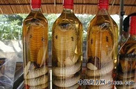 健康之路20190107:于振宣,独活寄生酒,泡蛇酒配方,蛇酒的功效与作用