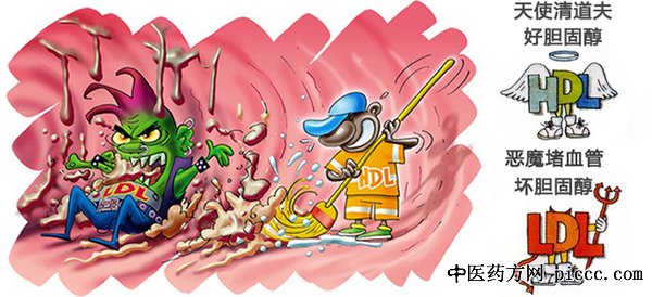 养生堂20190227:谷涌泉,预防脑梗配“网兜”如何预防脑