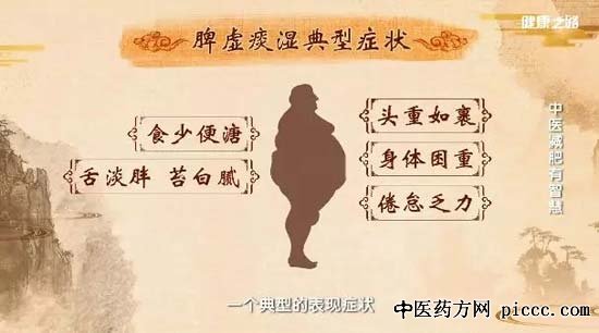 健康之路20190301:王少军,腹部十二穴,中医减肥有智慧,拔罐瘦身法